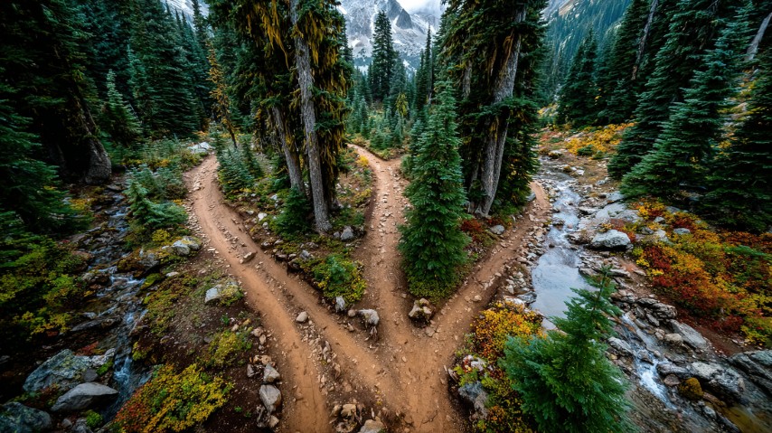 Three Paths