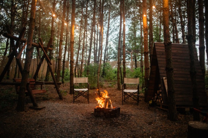 complex foest